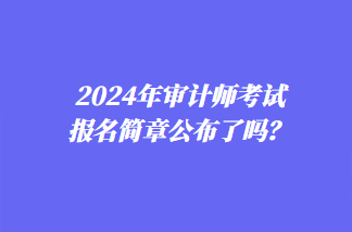 2024年审计师考试报名简章公布了吗？