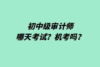 初中级审计师哪天考试？机考吗？