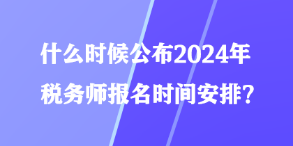 什么时候公布2024年税务师报名时间安排？