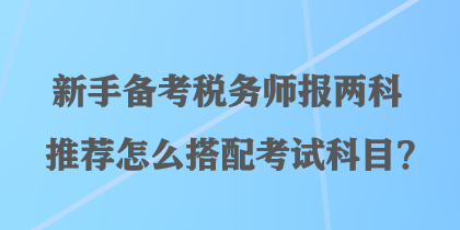 新手备考税务师报两科推荐怎么搭配考试科目？