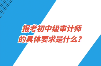 报考初中级审计师的具体要求是什么？