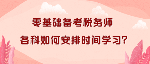 税务师各科如何安排时间学习？零基础考生看过来！