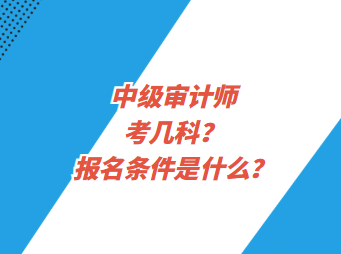 中级审计师考几科？报名条件是什么？