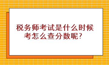 税务师考试是什么时候考怎么查分数呢？