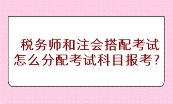 税务师和注会搭配考试怎么分配考试科目进行报考？