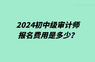 2024初中级审计师报名费用是多少？