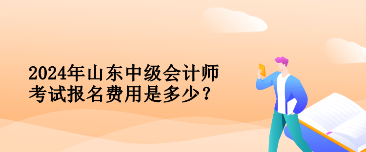 2024年山东中级会计师考试报名费用是多少？