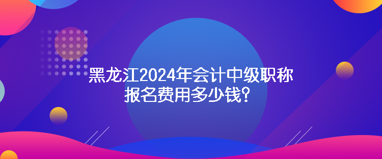 黑龙江2024年会计中级职称报名费用多少钱？