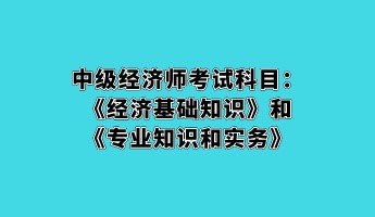 中级经济师考试科目：《经济基础知识》和《专业知识和实务》