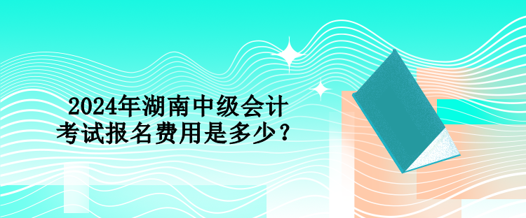 2024年湖南中级会计考试报名费用是多少？