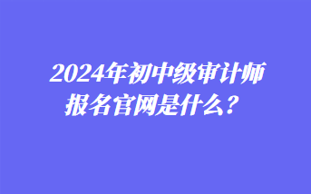 2024年初中级审计师报名官网是什么？