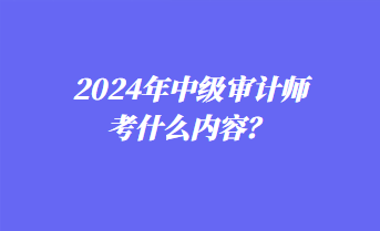 2024年中级审计师考什么内容？