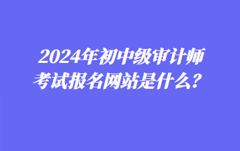 2024年初中级审计师考试报名网站是什么？