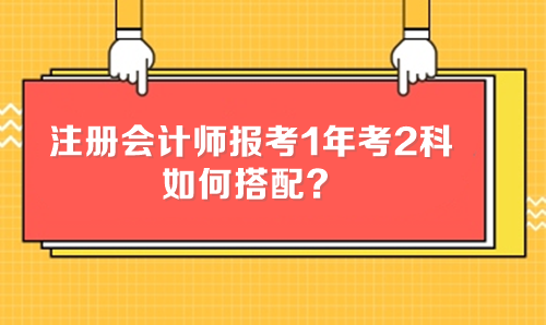 注册会计师报考1年考2科 如何搭配？