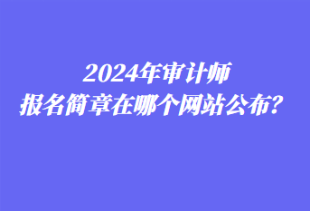 2024年审计师报名简章在哪个网站公布？