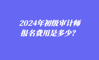 2024年初级审计师报名费用是多少？