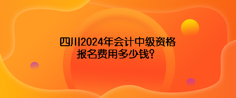 四川2024年会计中级资格报名费用多少钱？