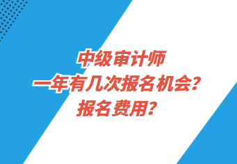 中级审计师一年有几次报名机会？报名费用？