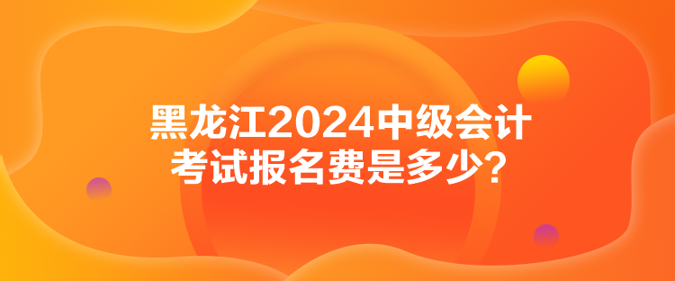 黑龙江2024中级会计考试报名费是多少？