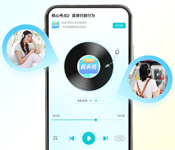 税务师核心考点随身听2