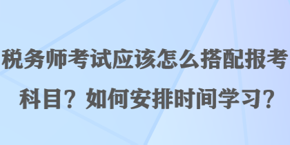 税务师考试应该怎么搭配报考科目？如何安排时间学习？