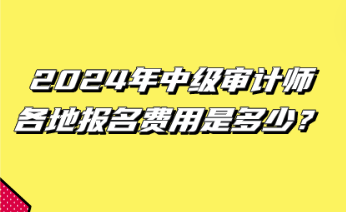 2024年中级审计师各地报名费用是多少？