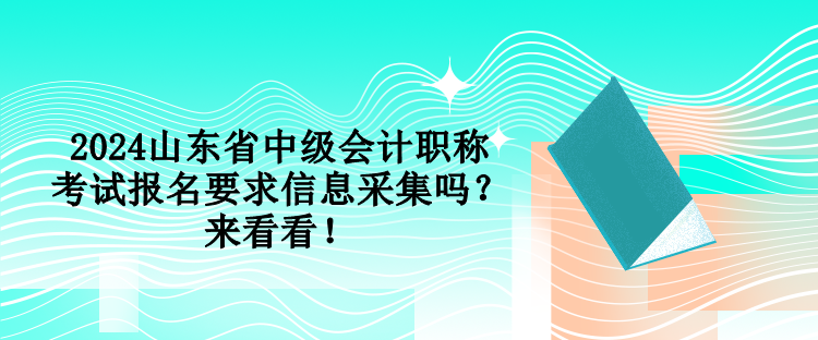 2024山东省中级会计职称考试报名要求信息采集吗？来看看！