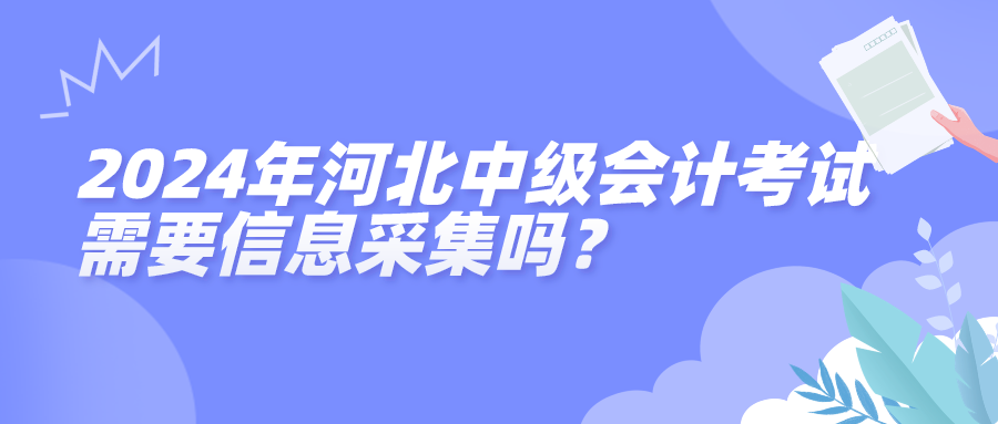 2024河北中级会计信息采集