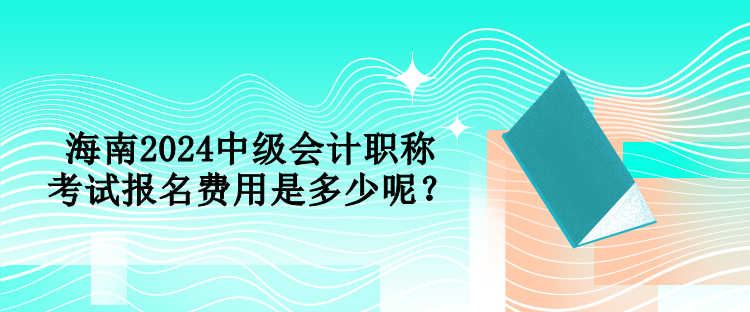 海南2024中级会计职称考试报名费用是多少呢？