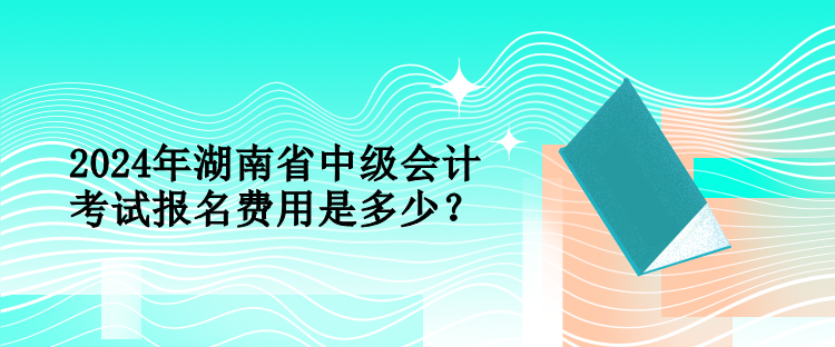 2024年湖南省中级会计考试报名费用是多少？