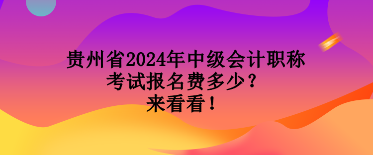 贵州省2024年中级会计职称考试报名费多少？来看看！