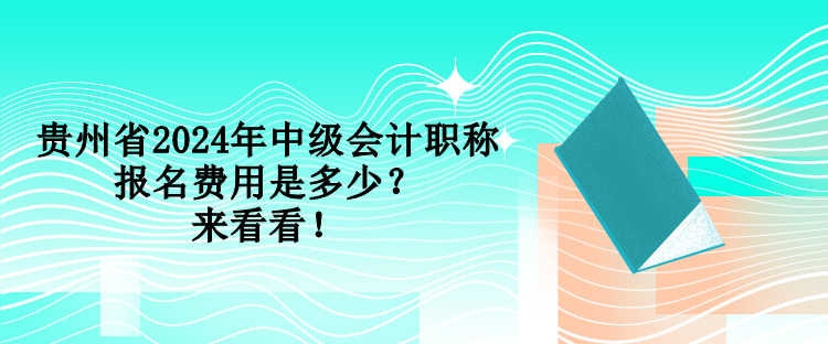 贵州省2024年中级会计职称报名费用是多少？来看看！