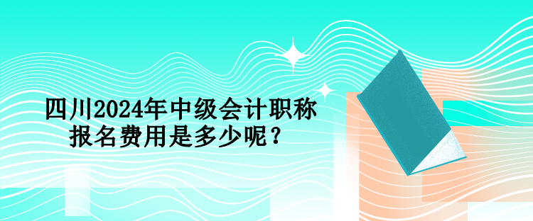 四川2024年中级会计职称报名费用是多少呢？