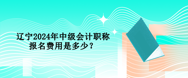 辽宁2024年中级会计职称报名费用是多少？