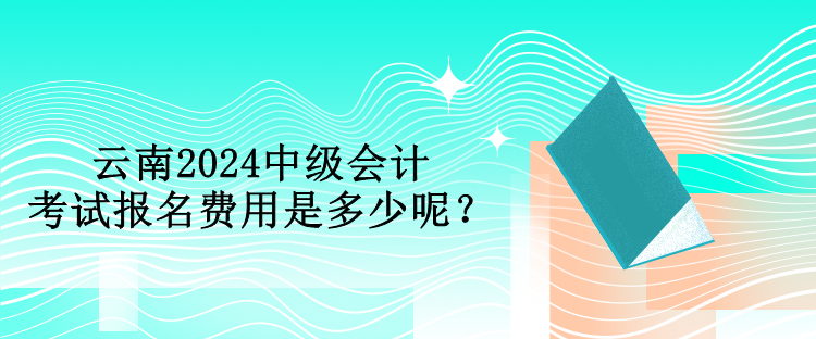 云南2024中级会计考试报名费用是多少呢？