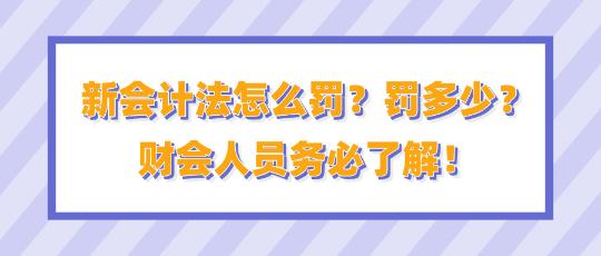 新会计法怎么罚？罚多少？财会人员务必了解！