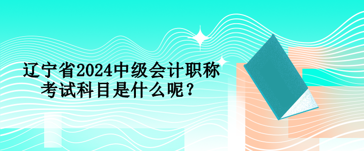 辽宁省2024中级会计职称考试科目是什么呢？