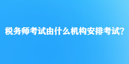 税务师考试由什么机构安排考试？