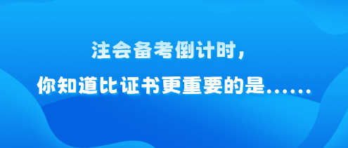 注会备考倒计时，你知道比证书更重要的是......